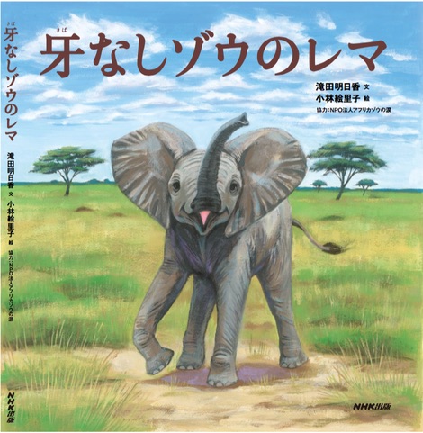 絵本「牙なしゾウのレマ」今月は熊本の小学校へ！