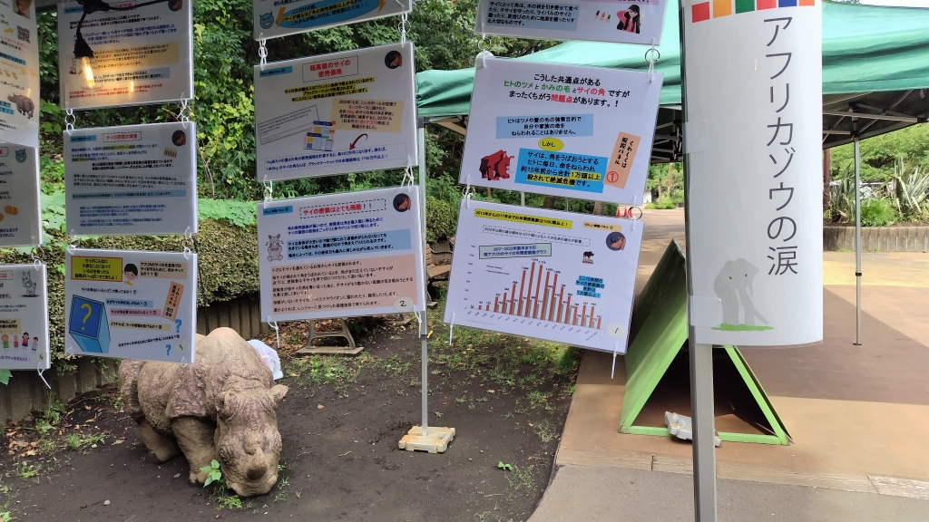 絶滅危機のサイについての解説パネル展示