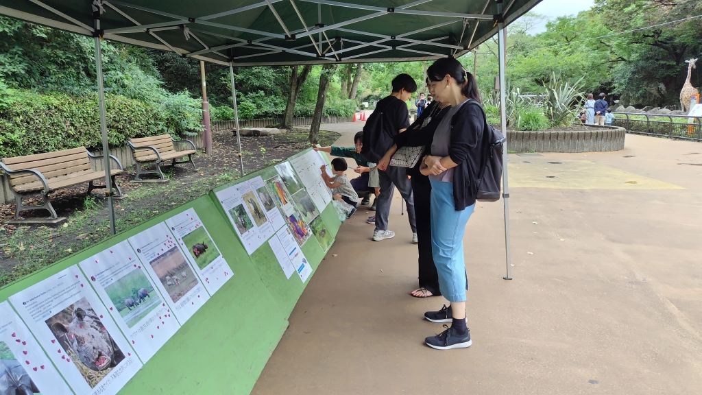 野生のインドサイの写真の展示