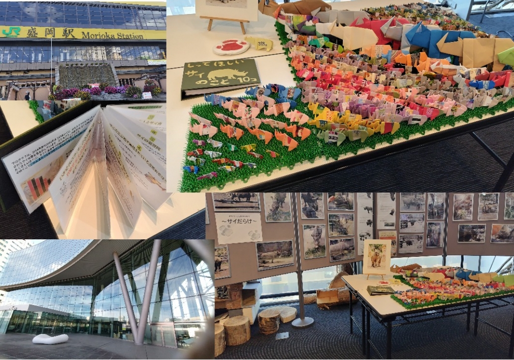 環境学習交流センターでの展示 環境学習交流センターでの展示